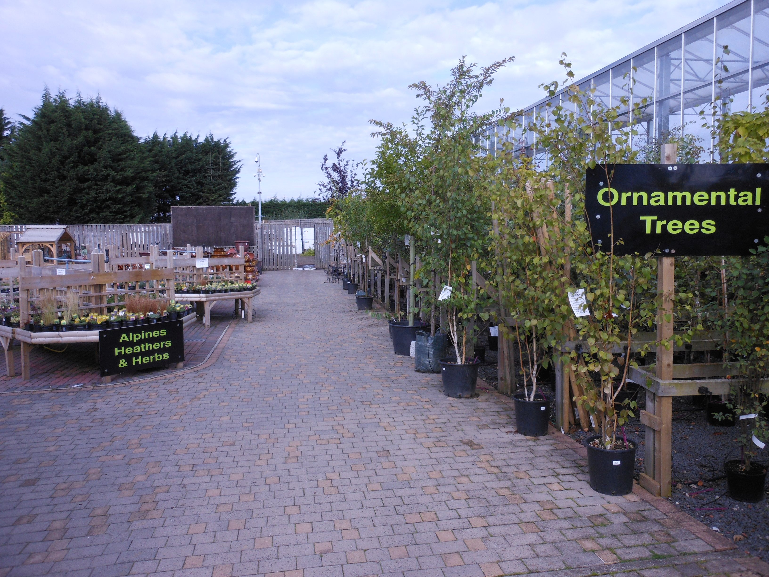 Plants - Cherry Hill Garden & Landscape Centre